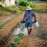 watering-watering-can-man-vietnam-162637